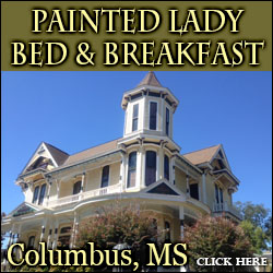 Painted Lady Bed and Breakfast